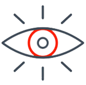 vision icon